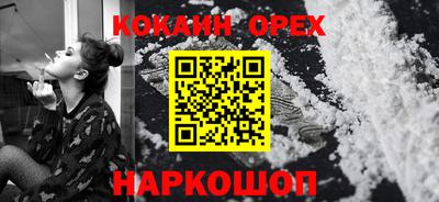 крисы Будённовск