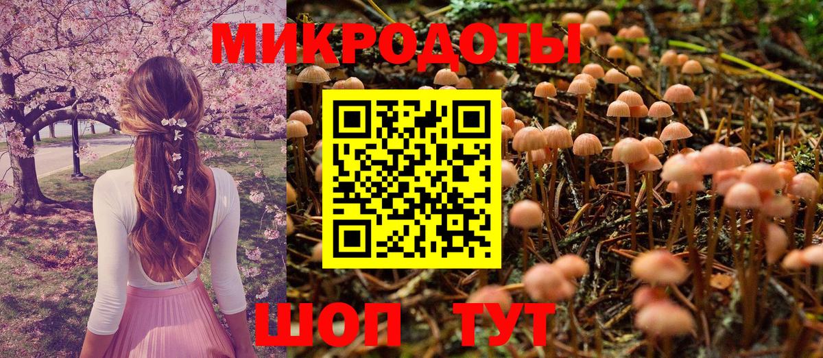 Галлюциногенные грибы MAGIC MUSHROOMS Светлоград